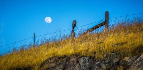 Moon and Fence