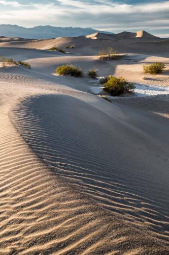 Sand Dune Line